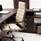 Study/Office Chairs