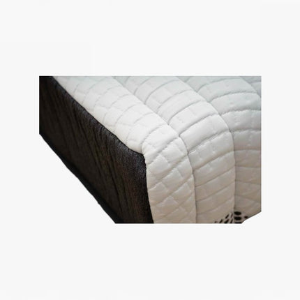 Vazzo Back Master Foam Mattress