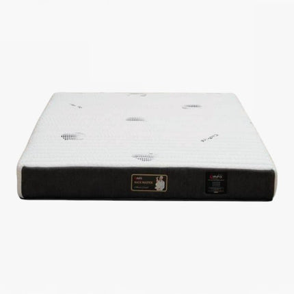 Vazzo Back Master Foam Mattress