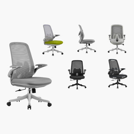 Bensoi Ergonomic Mid Back Mesh Office Chair