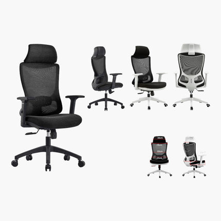 Anuk Ergonomic High Back Mesh Office Chair