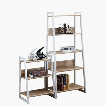 Ahana Book shelf