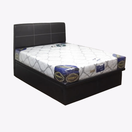 Pioneer Leather Storage Bed Frame