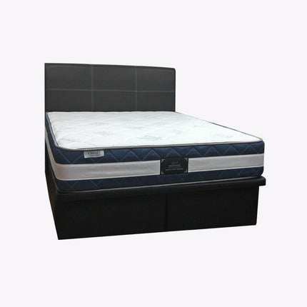 Pioneer Leather Storage Bed Frame