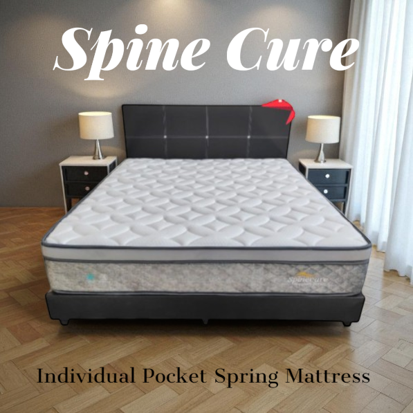 Sleep Zone – Spine Cure Pocketed Spring Mattress with Free Bedframe